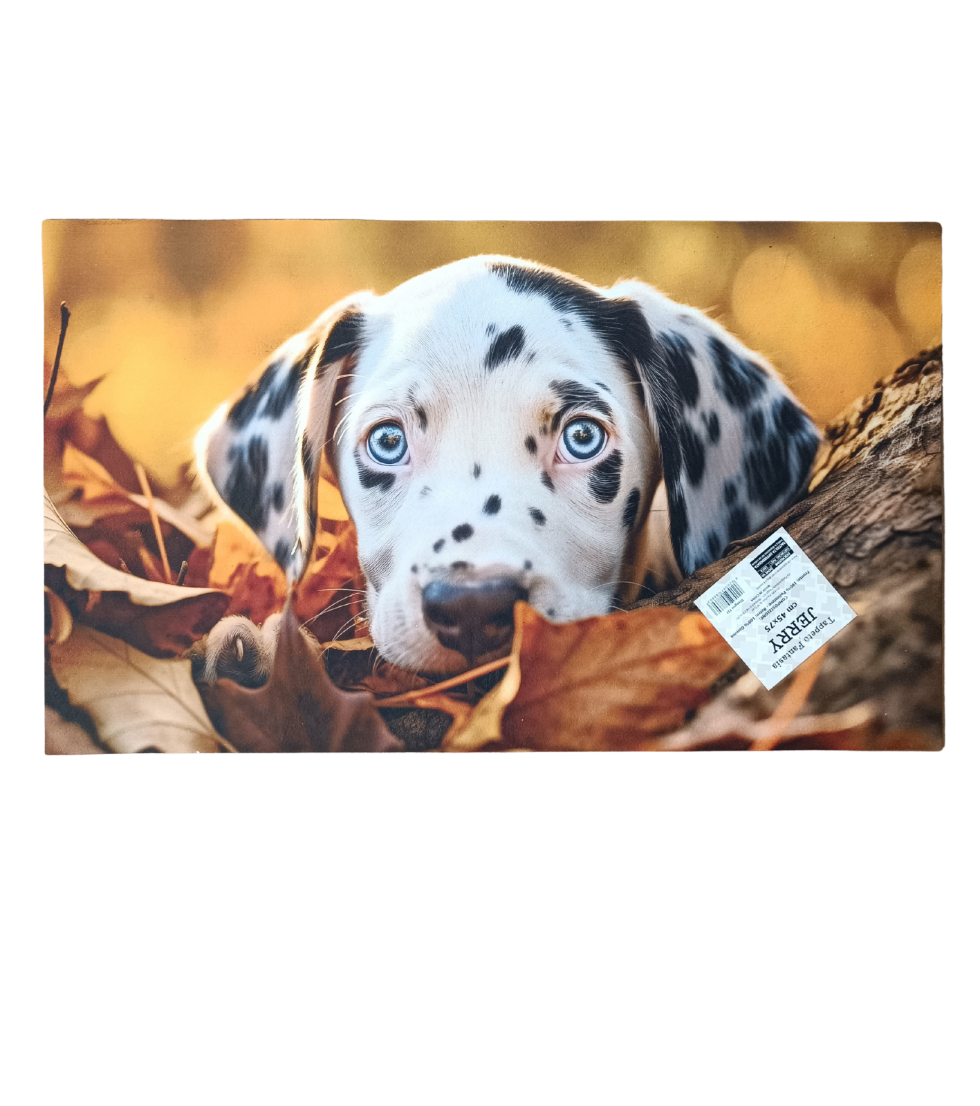 TAPPETO JERRY 24 45X75 Tellini S.R.L. Velkoobchodní oblečení